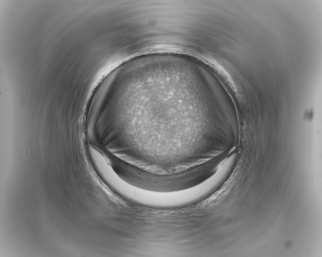 X0000093591373200711121114