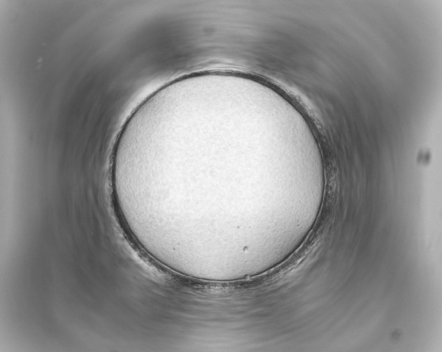 X0000093591375200711121114