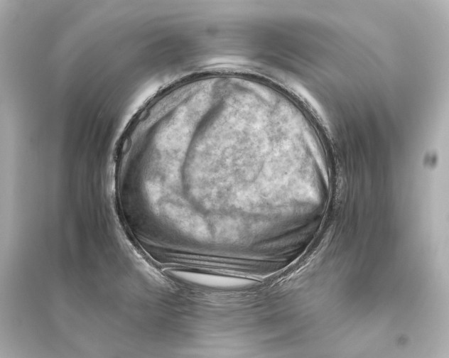 X0000093591376200711121114