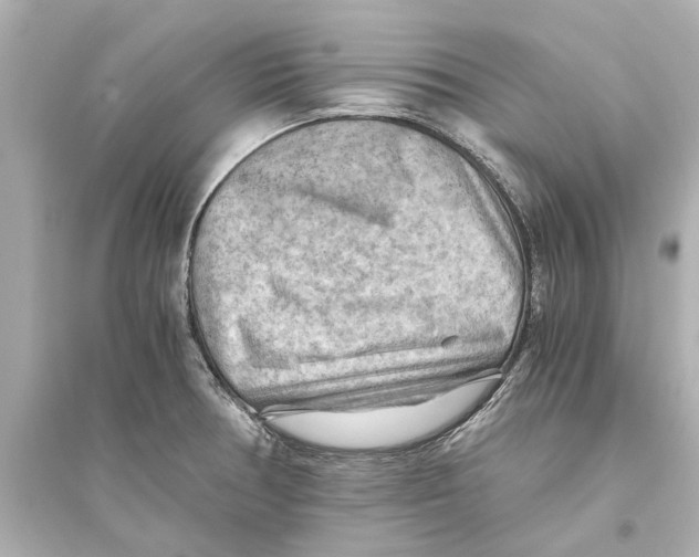 X0000093591378200711121114