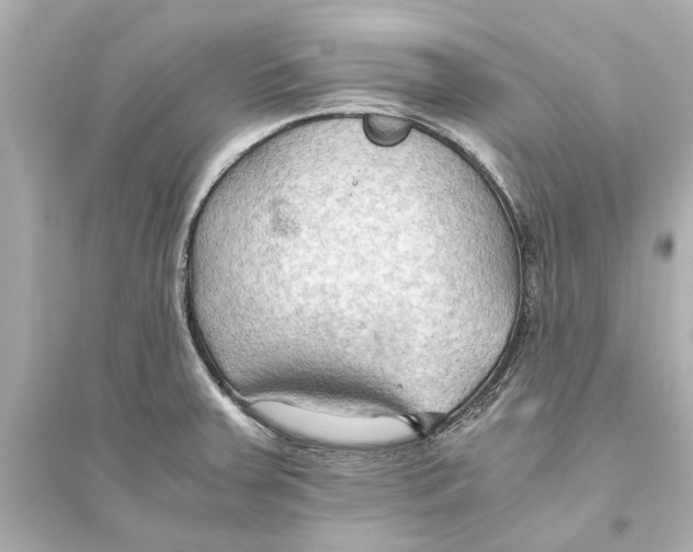 X0000093591379200711121114