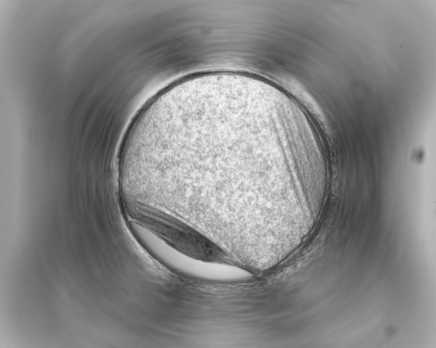 X0000093591380200711121114