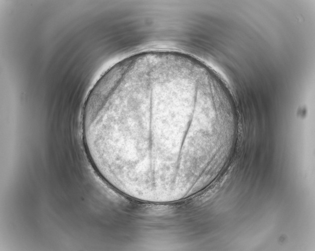 X0000093591382200711121114