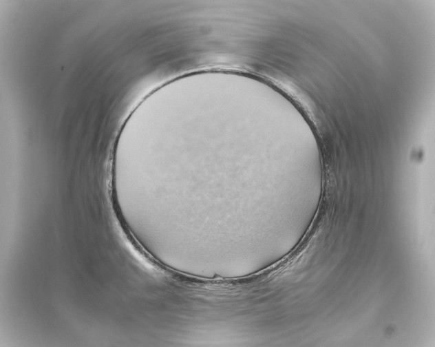 X0000093591383200711121114