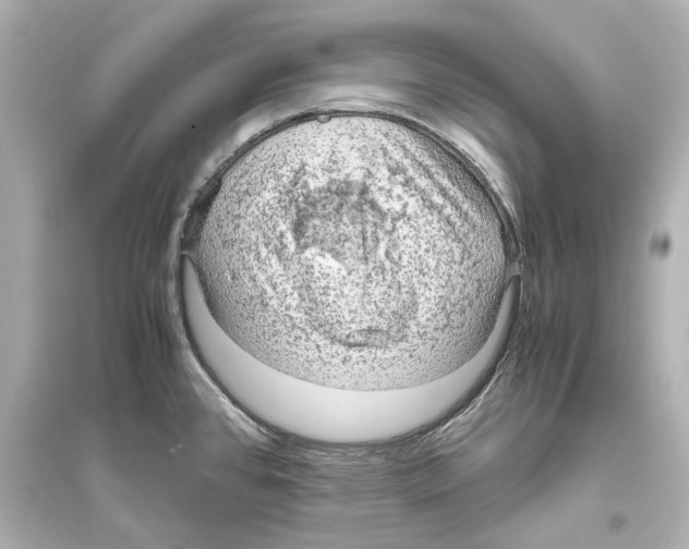 X0000093591384200711121114