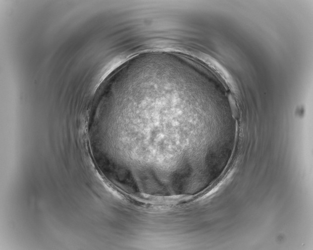 X0000093591385200711121114
