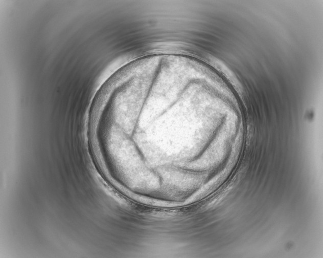 X0000093591386200711121114