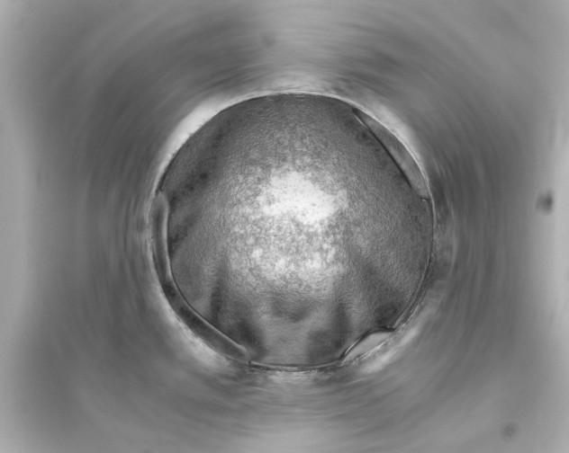 X0000093591389200711121114
