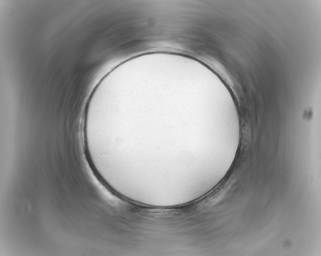 X0000093591391200711121114