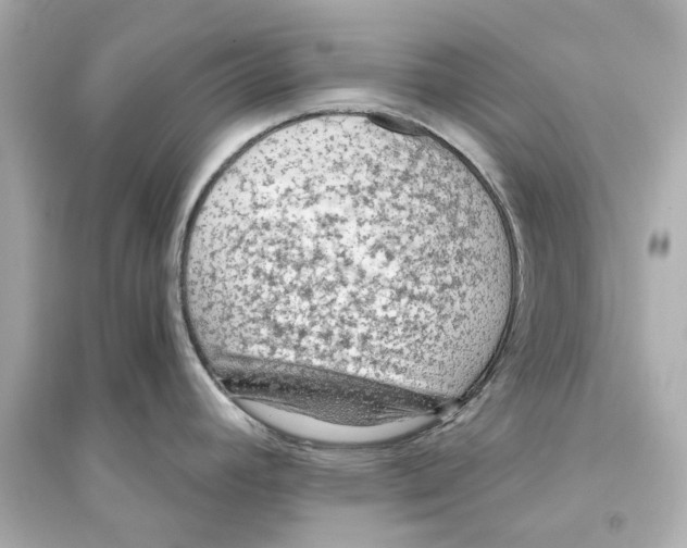 X0000093591392200711121114
