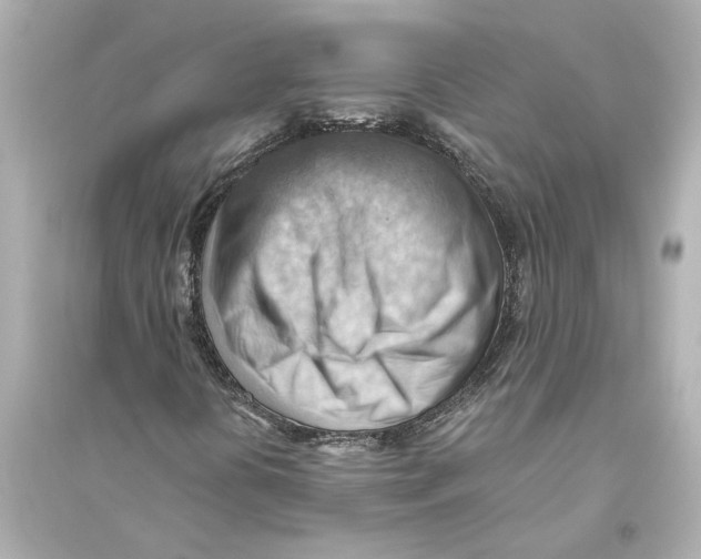 X0000093591394200711121113