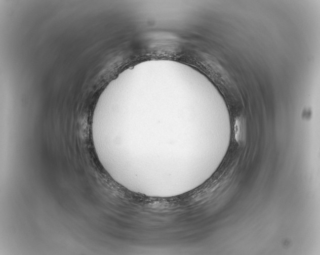 X0000093591395200711121113
