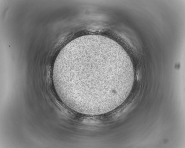 X0000093591396200711121113