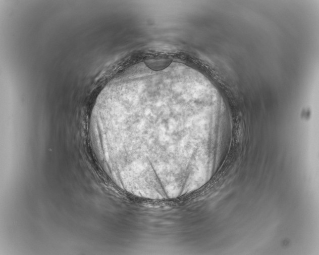 X0000093591397200711121113