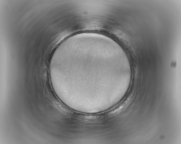 X0000093591401200711121113