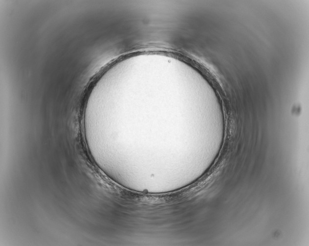 X0000093591407200711121113