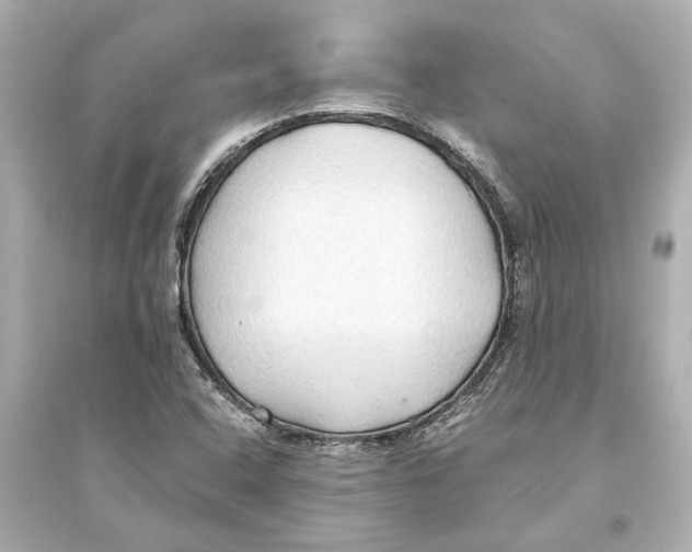 X0000093591408200711121113