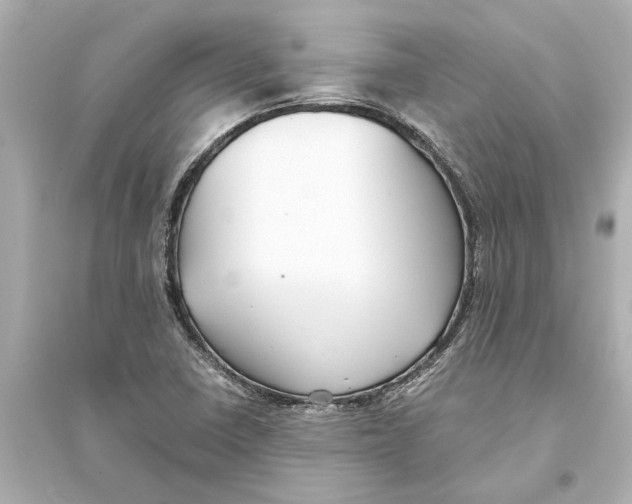 X0000093591410200711121113