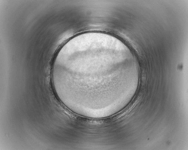 X0000093591411200711121114