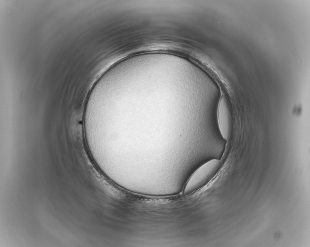 X0000093591417200711121114