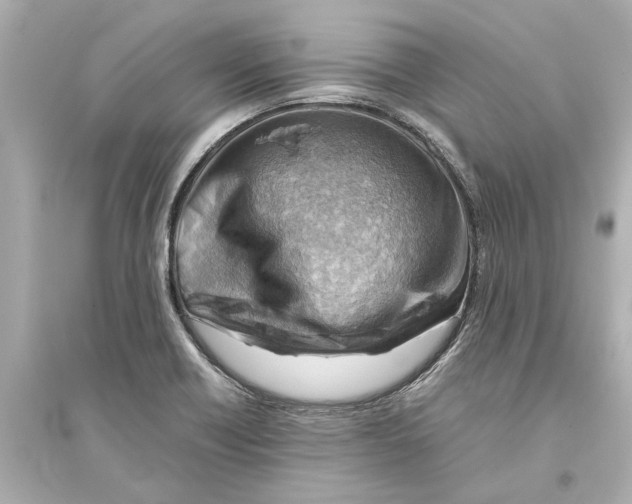 X0000093591418200711121114