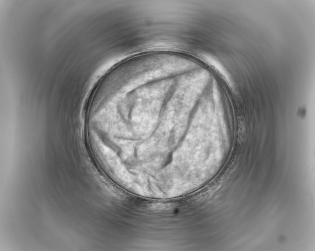 X0000093591419200711121114