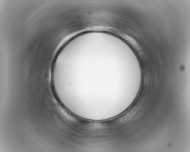 X0000093591420200711121114