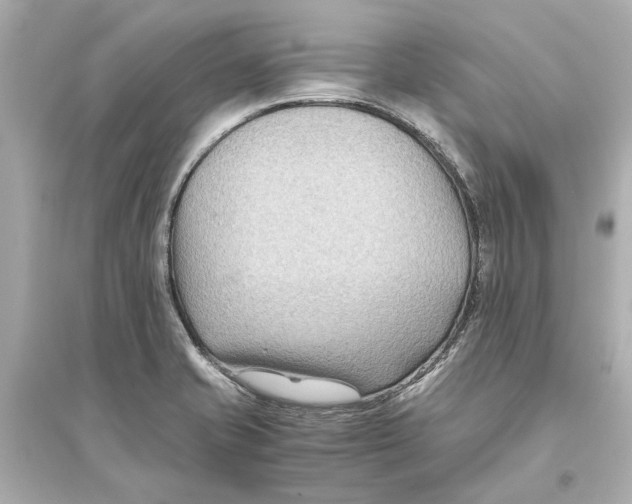 X0000093591421200711121114