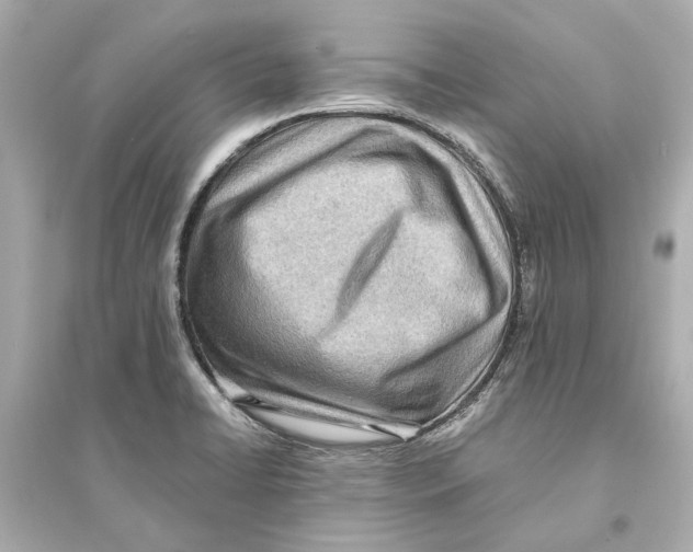 X0000093591422200711121114
