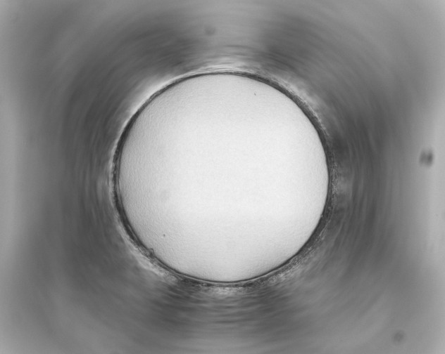 X0000093591423200711121114