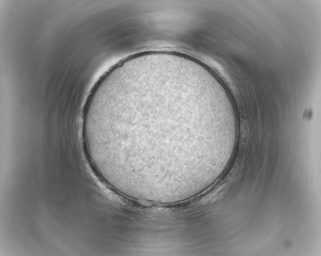 X0000093591424200711121114