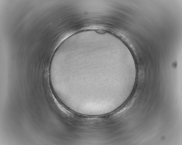 X0000093591425200711121114