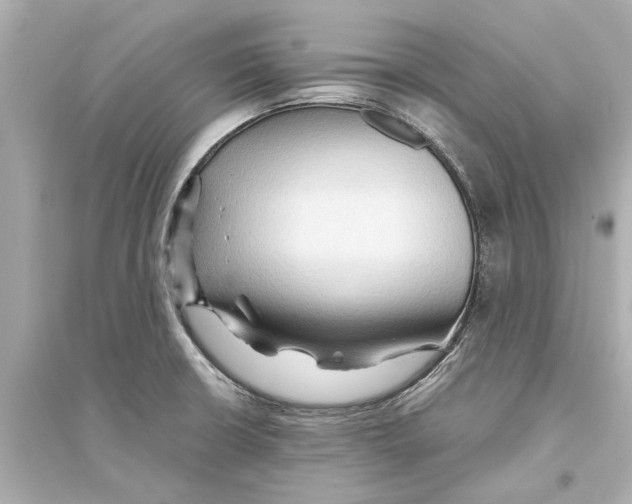 X0000093591426200711121114
