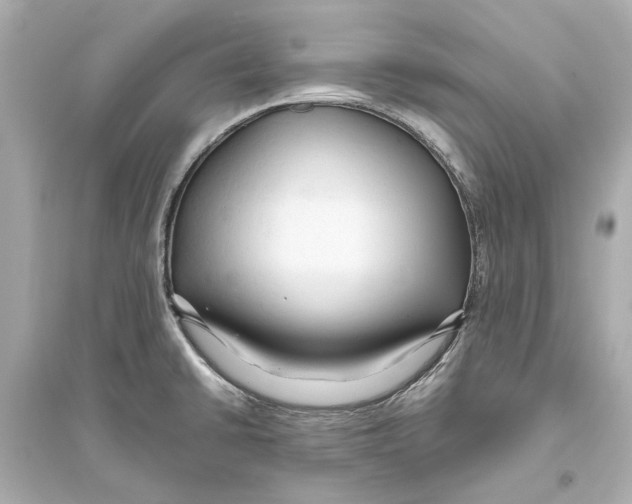 X0000093591430200711121114