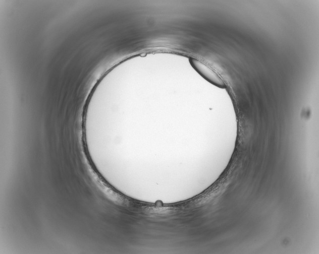 X0000093591431200711121114