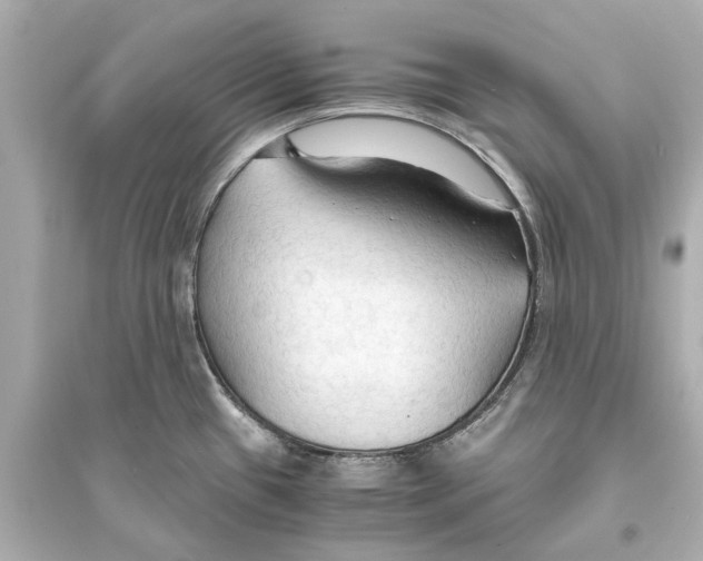 X0000093591433200711121114