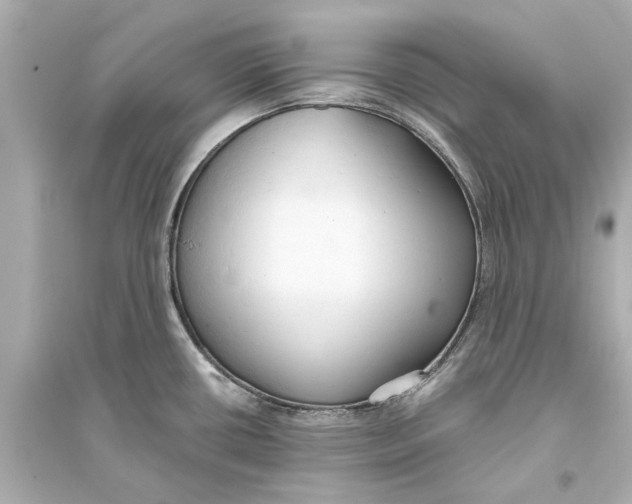 X0000093591434200711121114