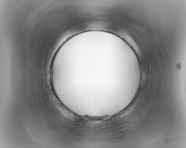 X0000093591435200711121114
