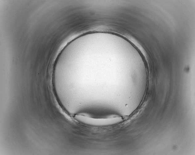 X0000093591437200711121114