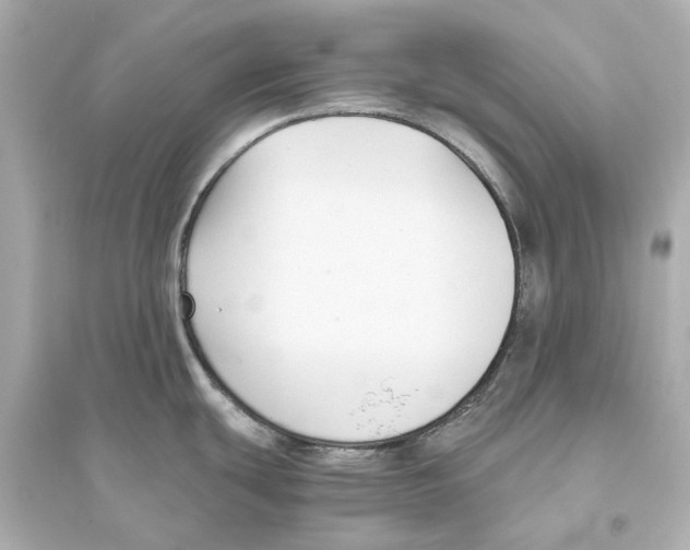X0000093591439200711121114