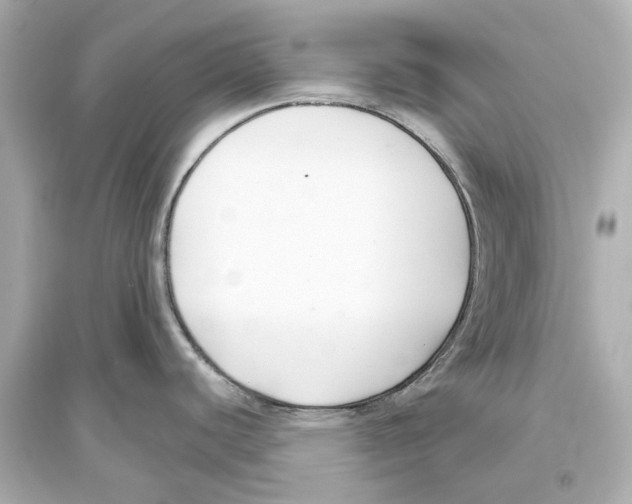 X0000093591440200711121114