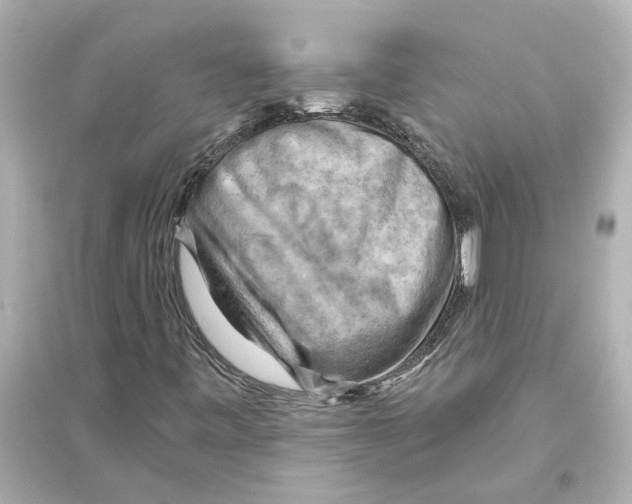 X0000093591443200711121113