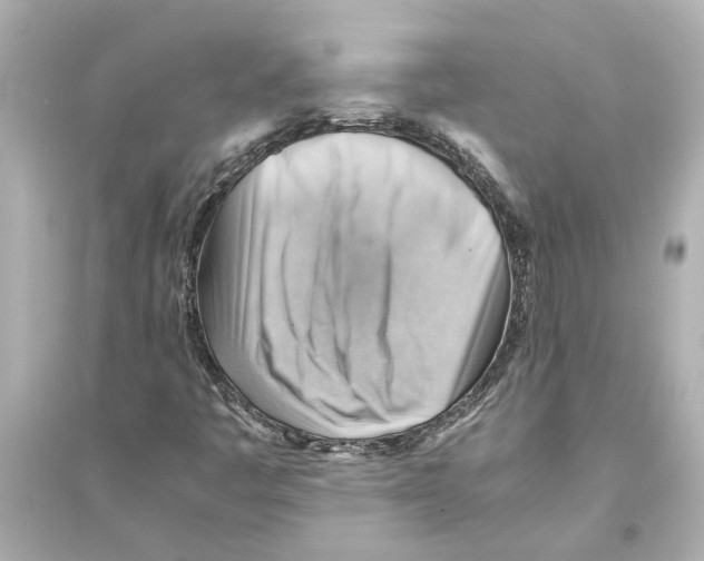 X0000093591445200711121113