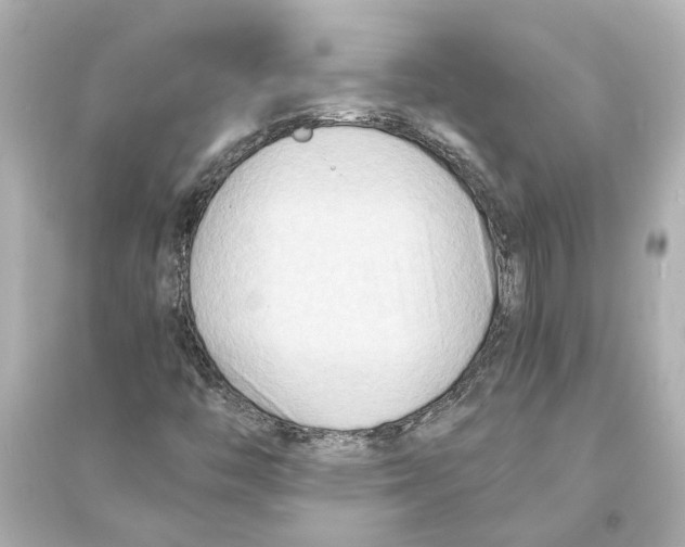X0000093591446200711121113