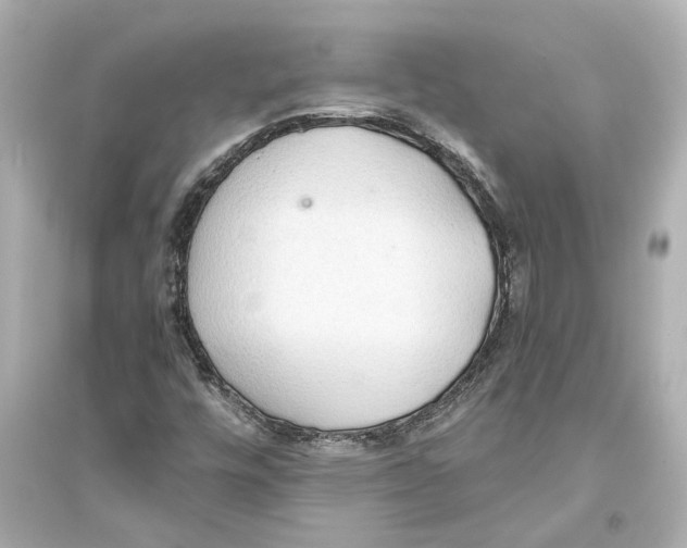 X0000093591448200711121113