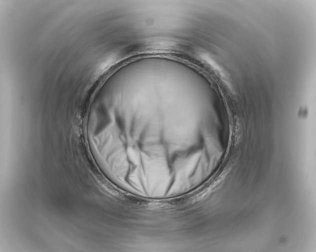 X0000093591449200711121113