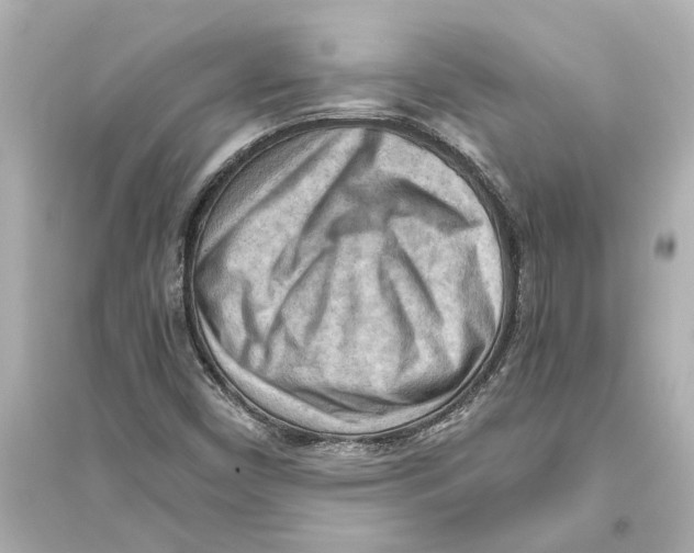X0000093591450200711121113