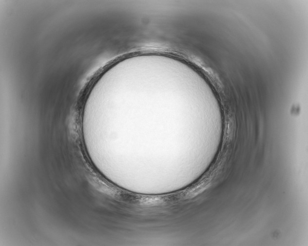 X0000093591454200711121113