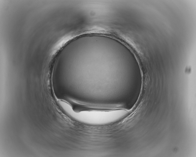 X0000093591455200711121113