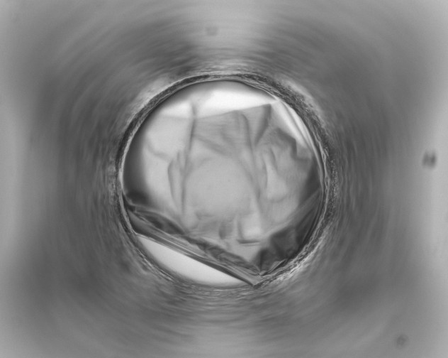 X0000093591457200711121113